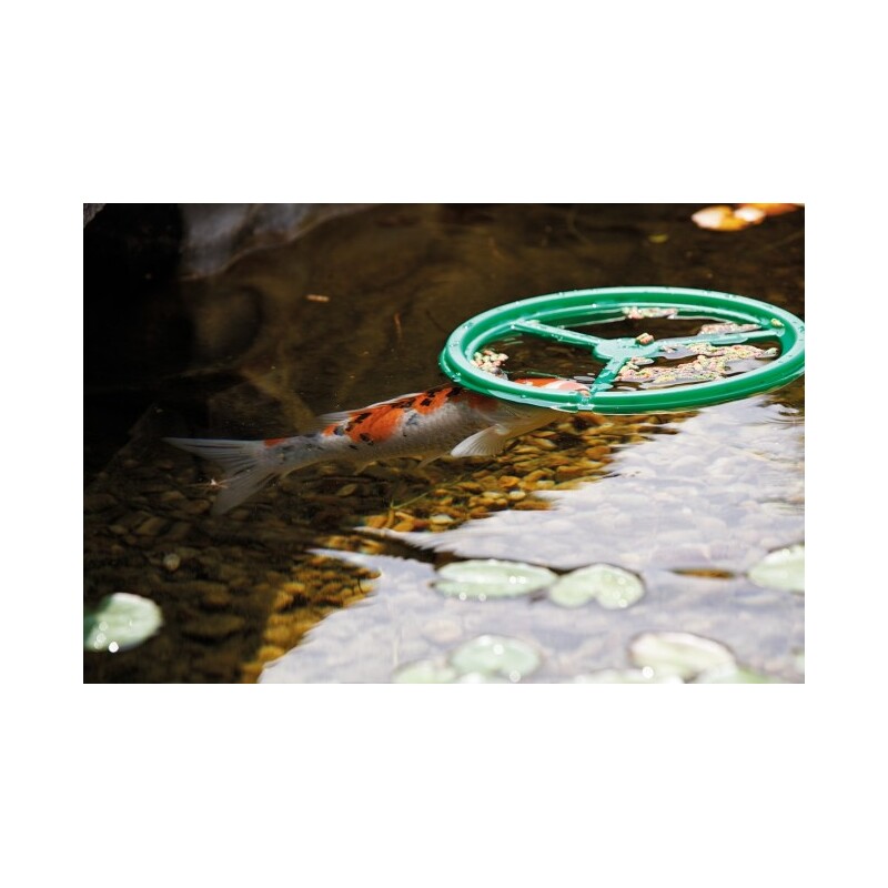 Pontec PondoFeed Ring