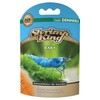 DENNERLE Shrimp King Baby