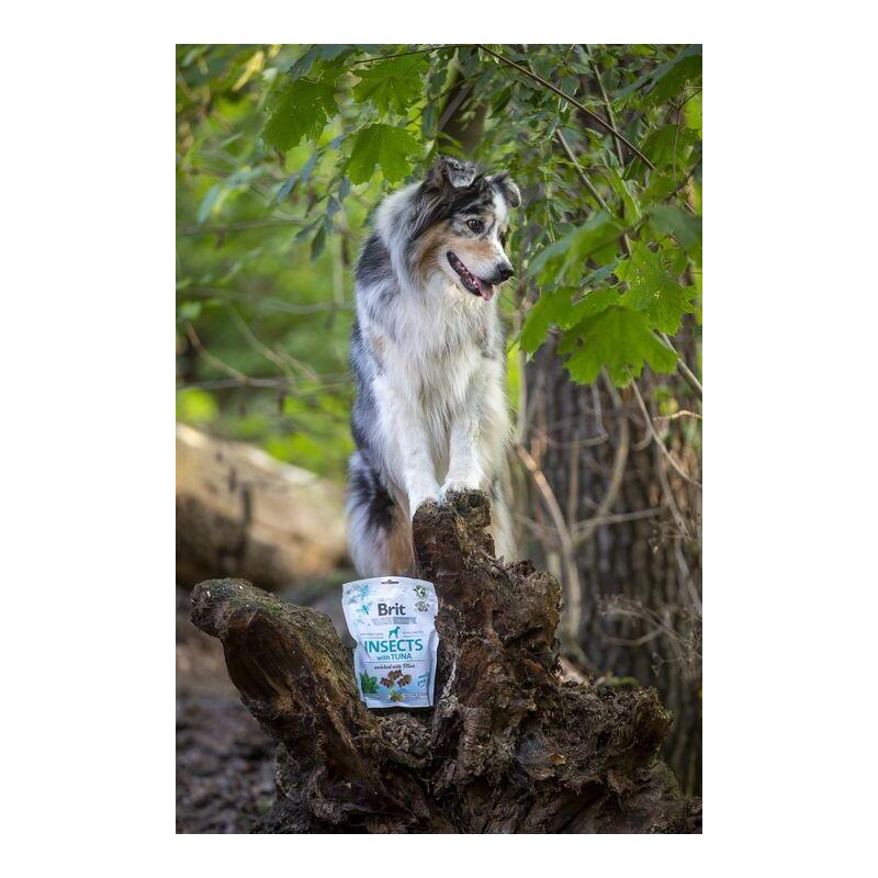 Brit Care Dog Crunchy Cracker Insects with Tuna enriched with Mint 200 g