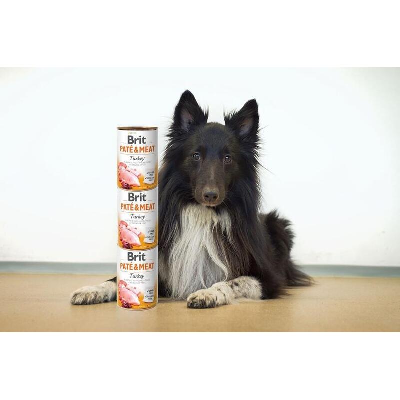 Brit Paté & Meat Dog Turkey 400 g
