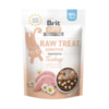 Brit Raw Treat Cat Sensitive 40 g 